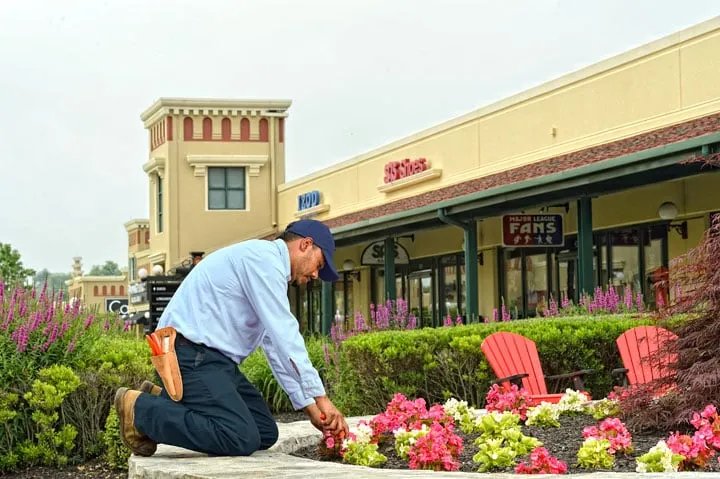 Expert yard cleanup service near you in Chardon, OH by US Lawns