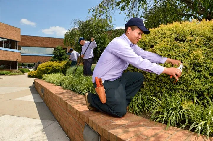 Expert yard cleanup service for homes across Chardon, OH - US Lawns