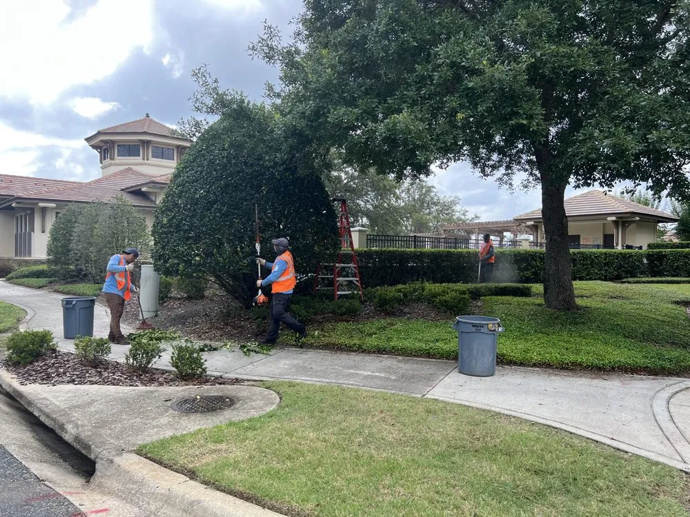 Top-rated residential landscaping experts serving Deland, FL - US Lawns
