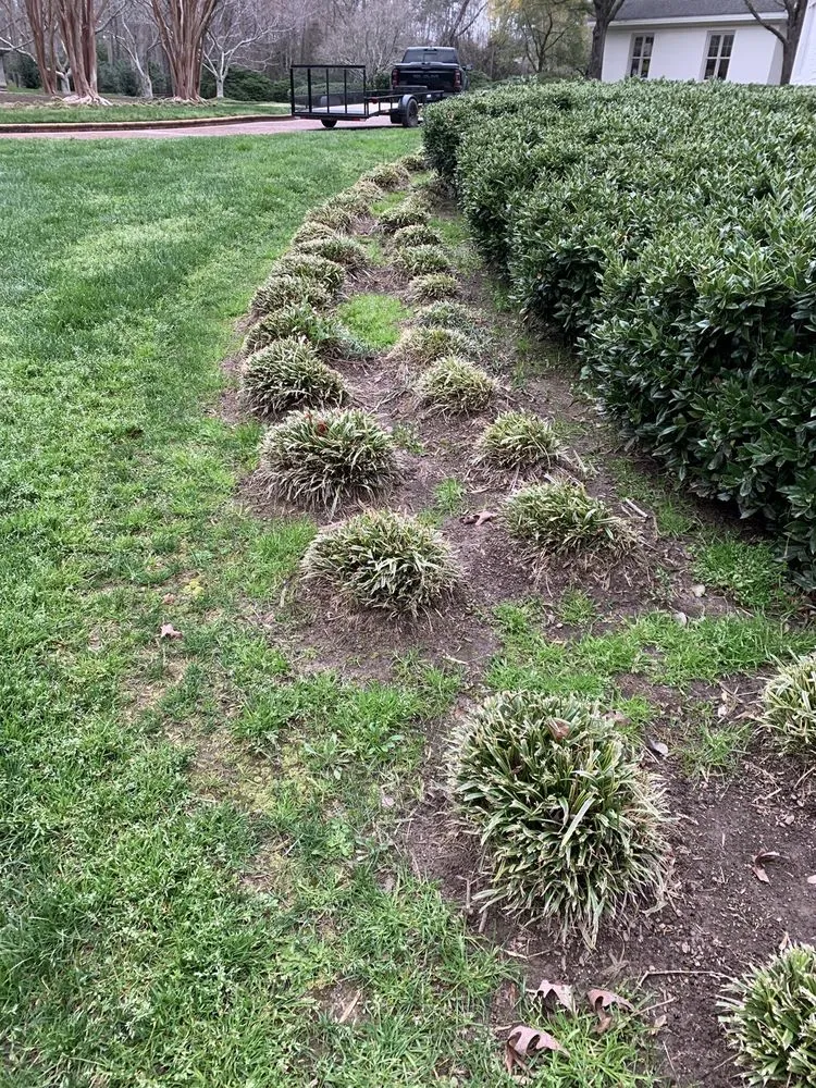 Custom outdoor landscaping in Orlando, FL - US Lawns