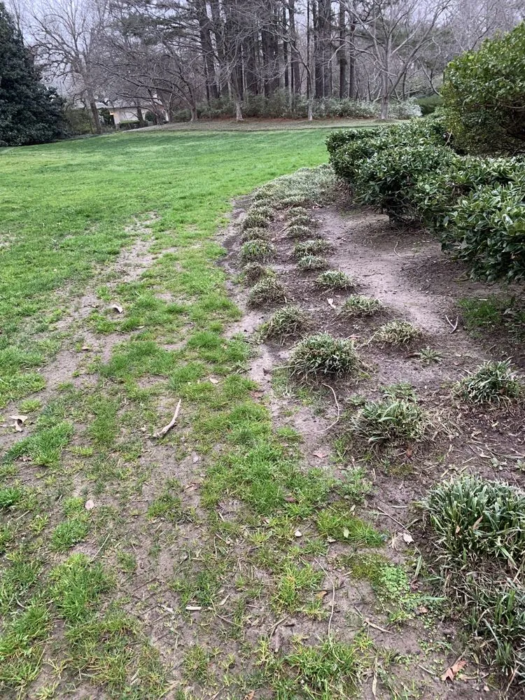 Expert outdoor landscaping experts serving Orlando, FL - US Lawns