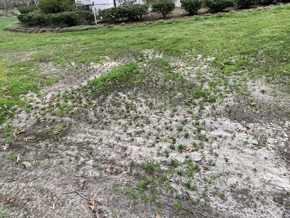 Custom landscape design in Orlando, FL - US Lawns