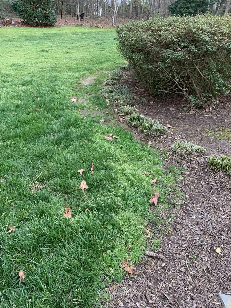 Trusted lawn care service with custom design across Orlando, FL - US Lawns