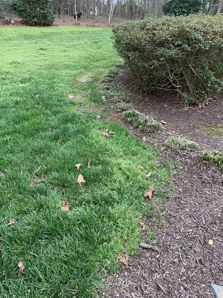 Local garden landscaping for residential properties in Orlando, FL by US Lawns