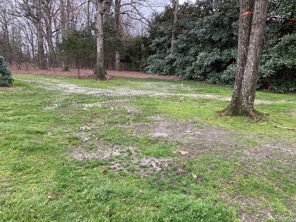 Top-rated yard maintenance in Orlando, FL by US Lawns