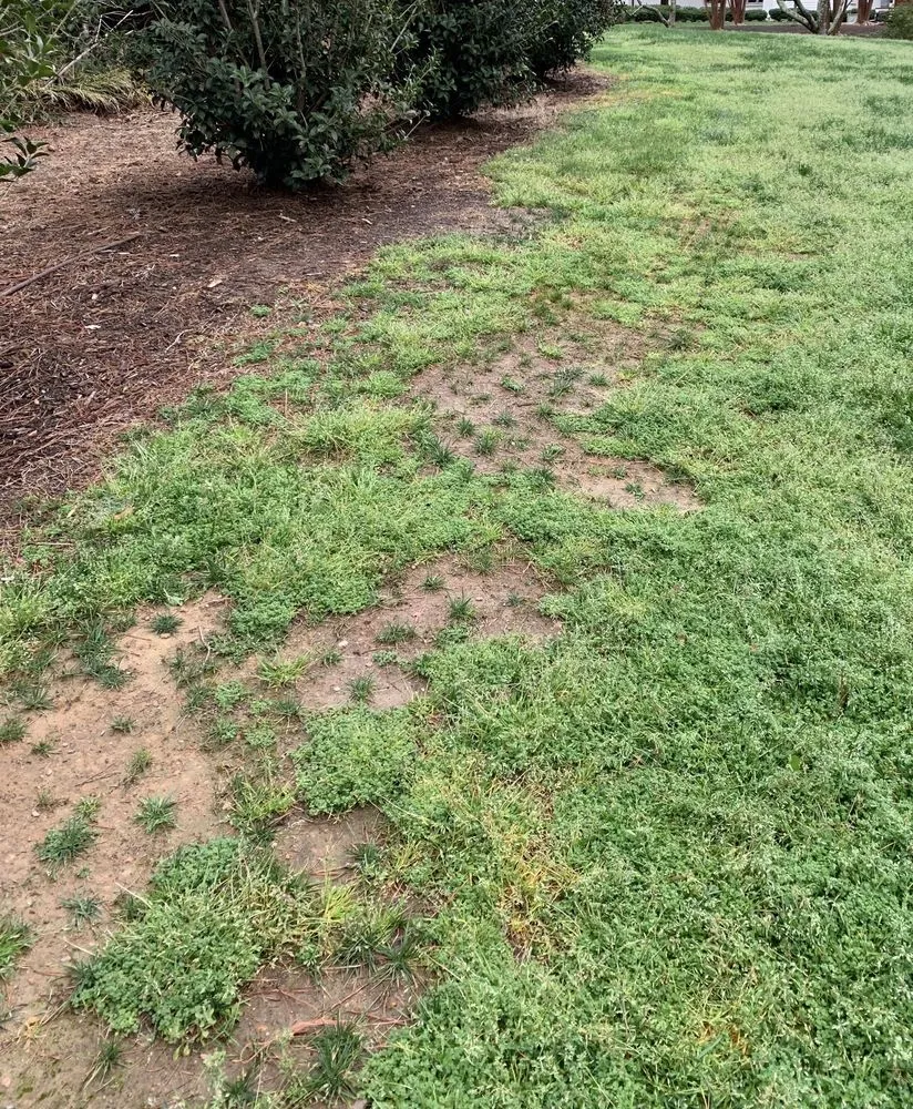 Expert outdoor landscaping in Orlando, FL - US Lawns