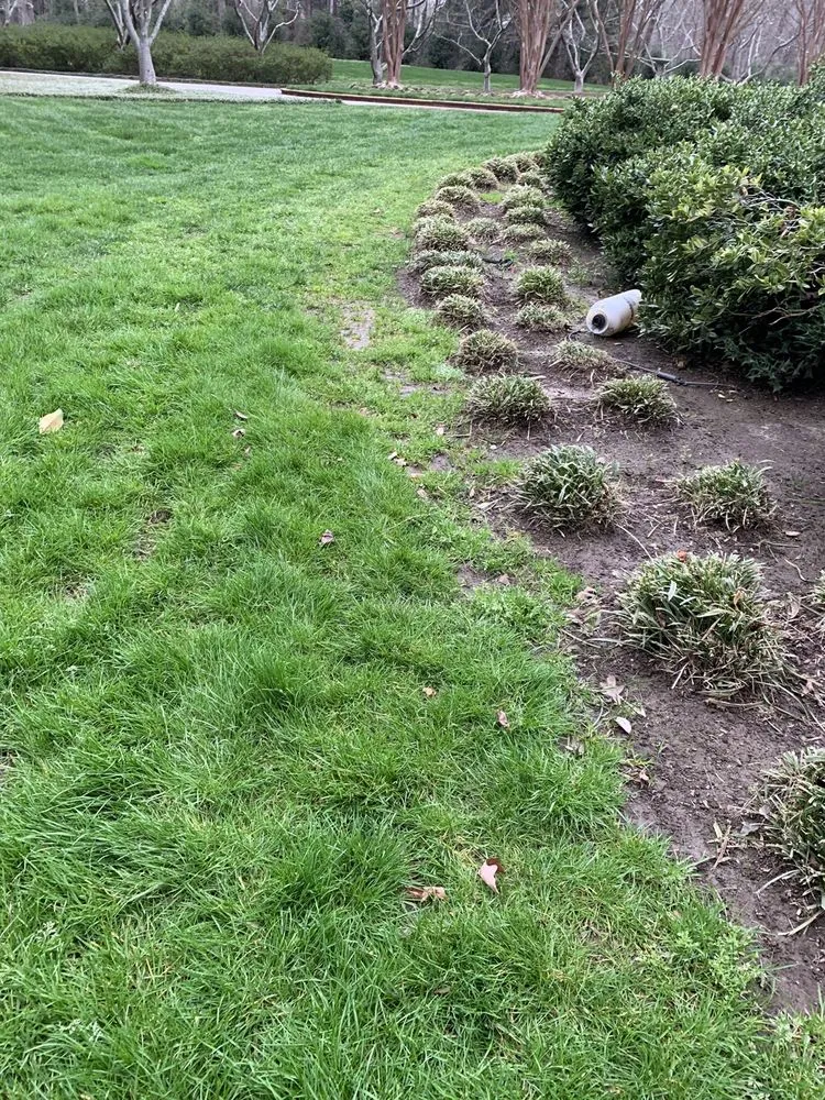 Top-rated garden landscaping experts serving Orlando, FL - US Lawns