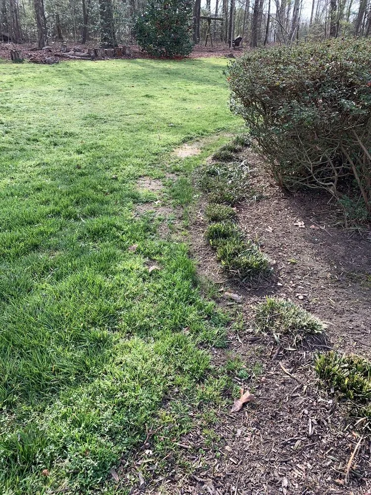 Top-rated landscaping services in Orlando, FL by US Lawns