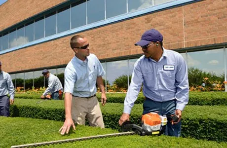 Local garden landscaping near you across Orlando, FL - US Lawns