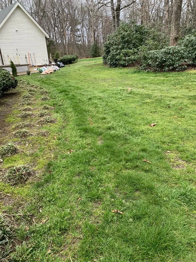 Trusted landscape installation near you in Orlando, FL by US Lawns