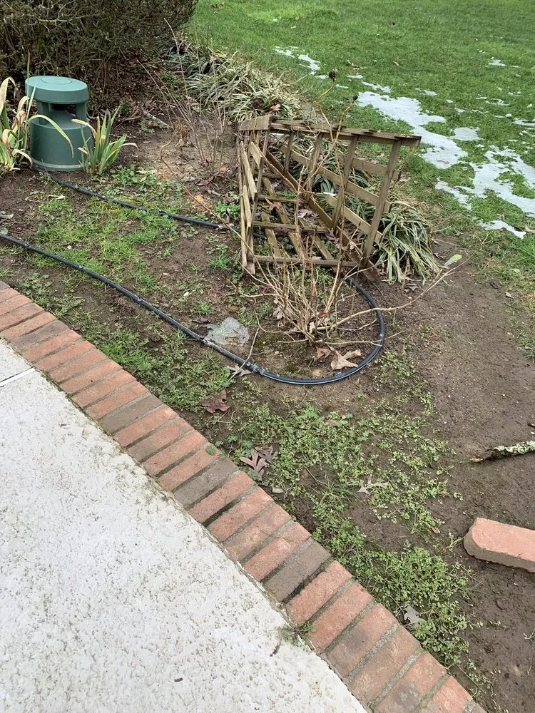 Local lawn care service for residential properties in Orlando, FL by US Lawns