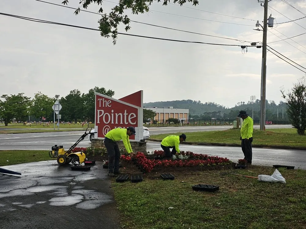 Expert yard cleanup service for outdoor upgrades in Pelham, AL by Us Lawns