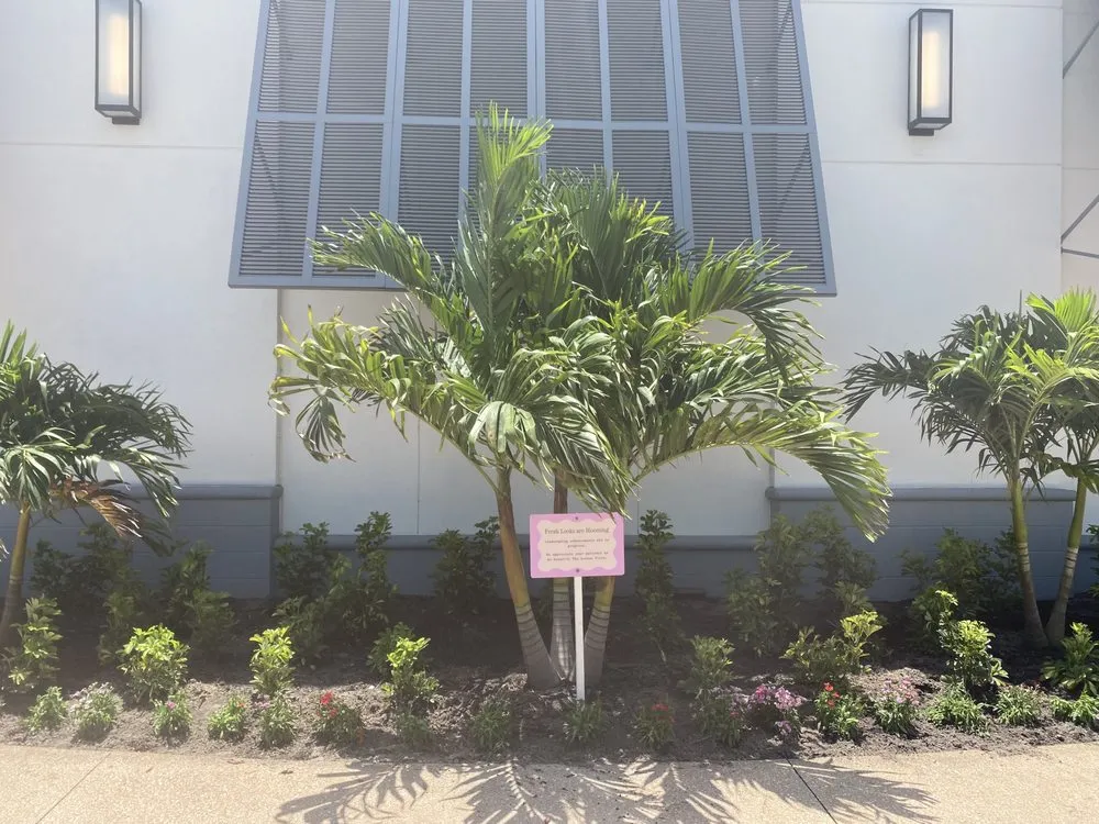 Local yard cleanup service in Rockledge, FL - US Lawns