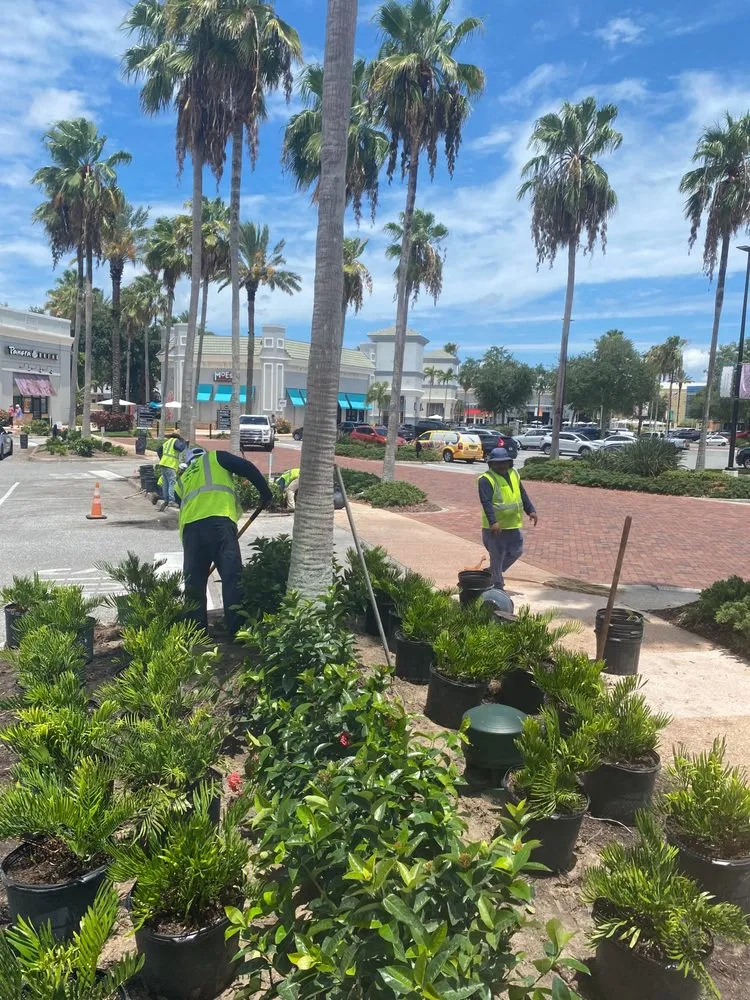 Reliable lawn care service for year-round maintenance in Rockledge, FL by US Lawns