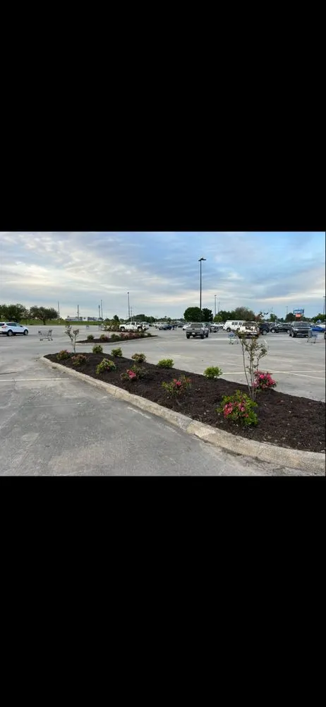 Professional landscape installation for year-round maintenance across Whitesboro, TX - US Lawns