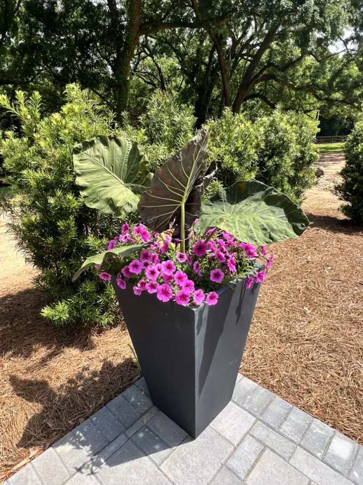 Top-rated lawn mowing service in Whitesboro, TX by US Lawns