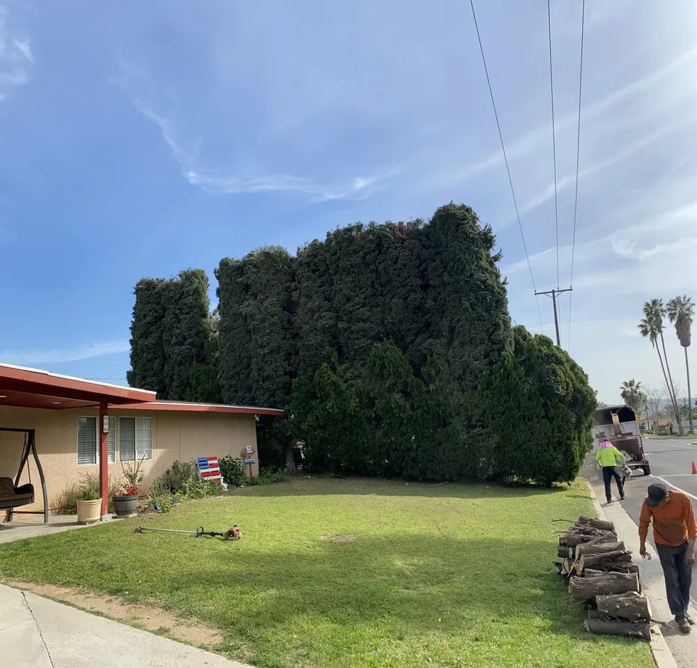 Expert lawn mowing service experts serving Pomona, CA - US Tree Service