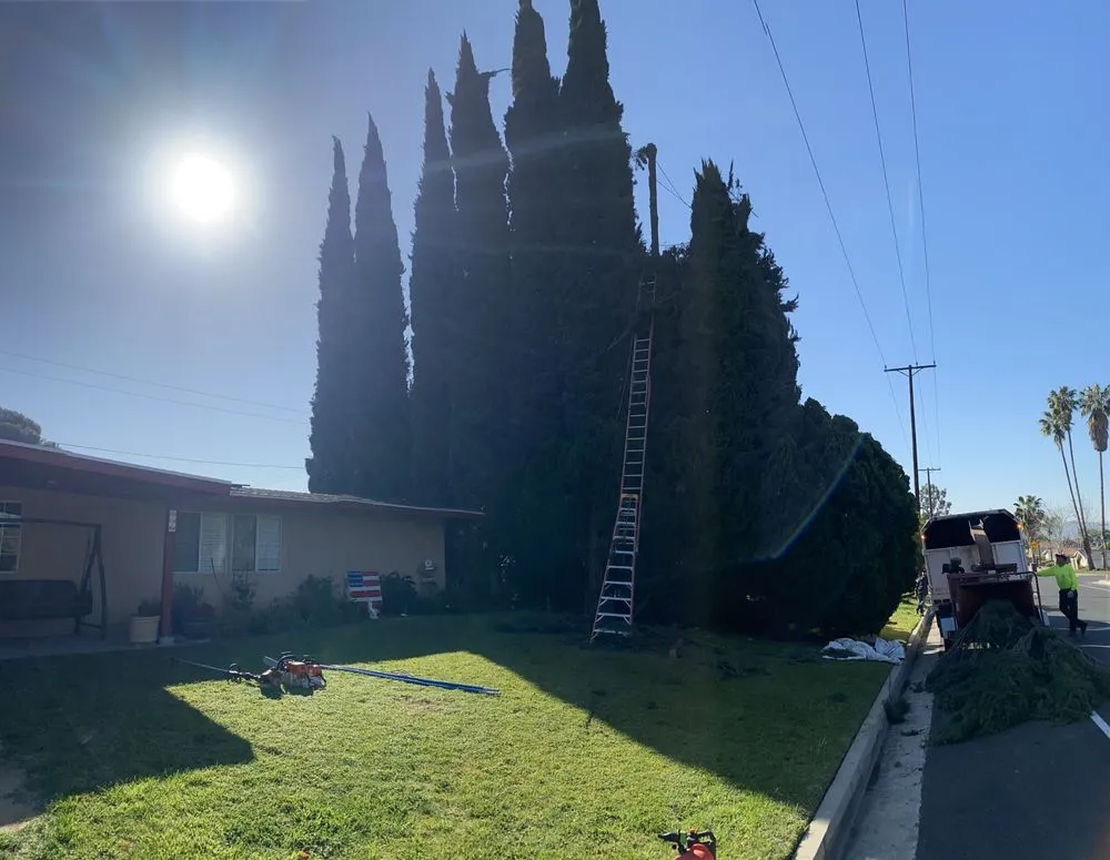 Local lawn mowing service for outdoor upgrades in Pomona, CA by US Tree Service