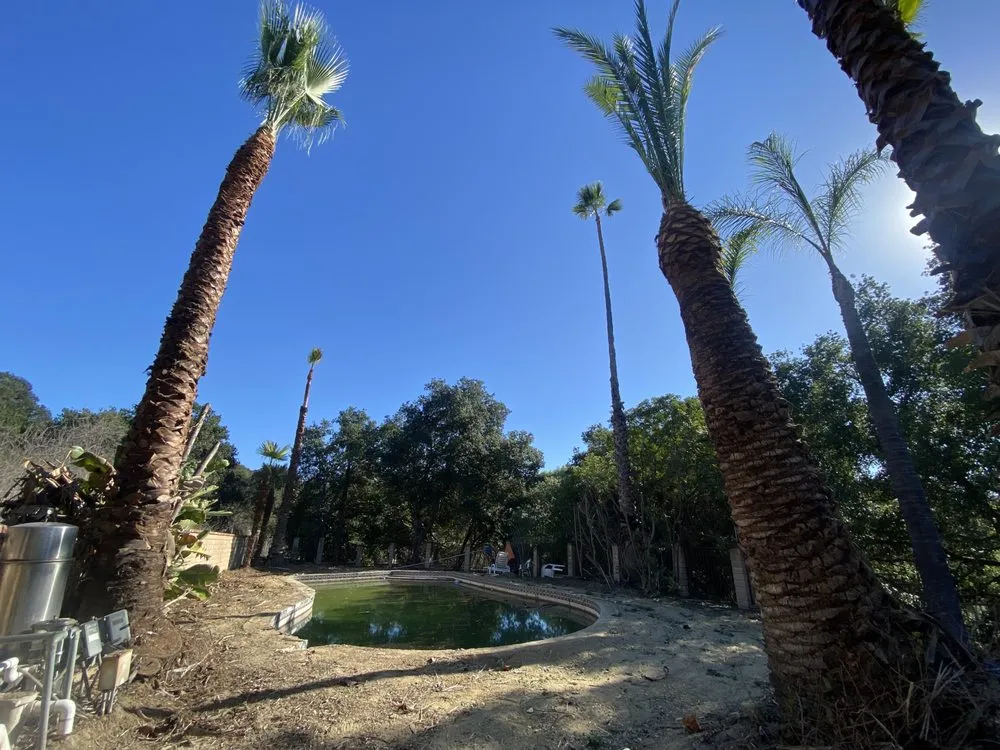 Custom yard cleanup service for homes across Pomona, CA - US Tree Service