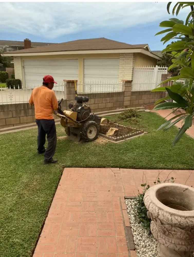 Reliable landscape design in Pomona, CA by US Tree Service