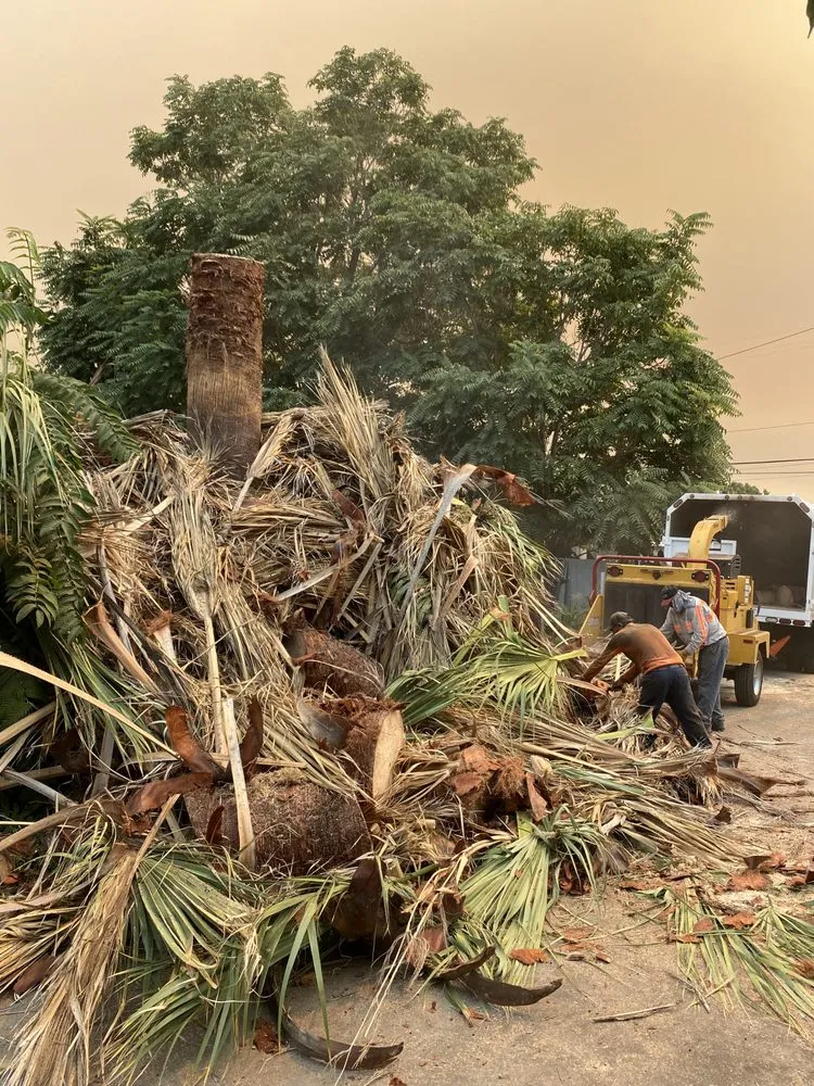 Affordable outdoor landscaping in Pomona, CA by US Tree Service