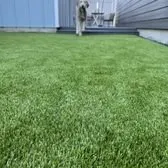 Reliable yard cleanup service in Austin, TX by US Turf