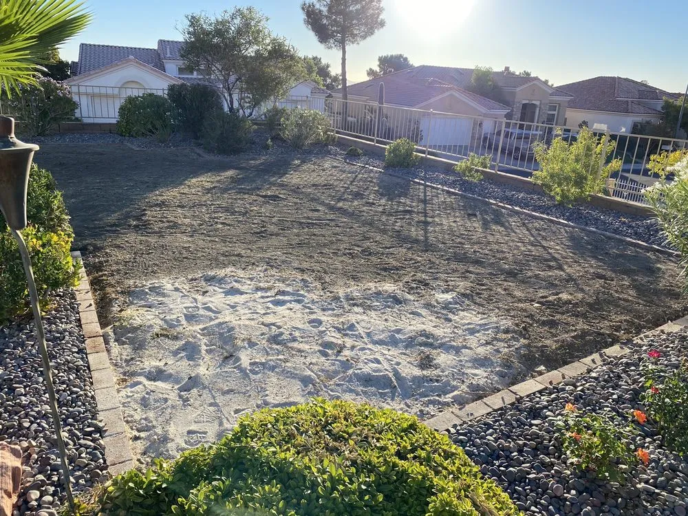 Trusted lawn care service experts serving Las Vegas, NV - US Turf