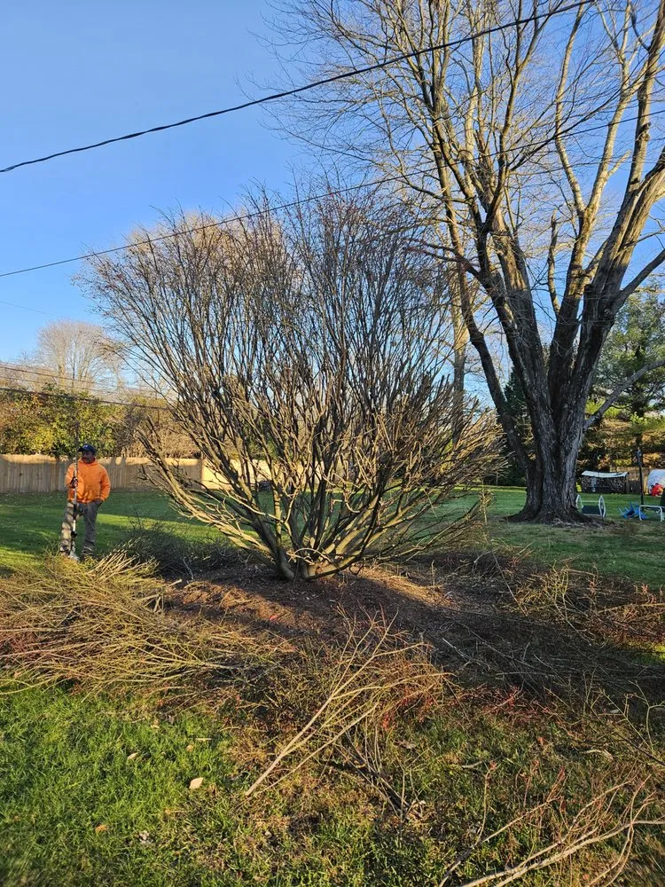 Affordable landscape installation experts serving Trenton, NJ - Usa & CentroAmerica General cons