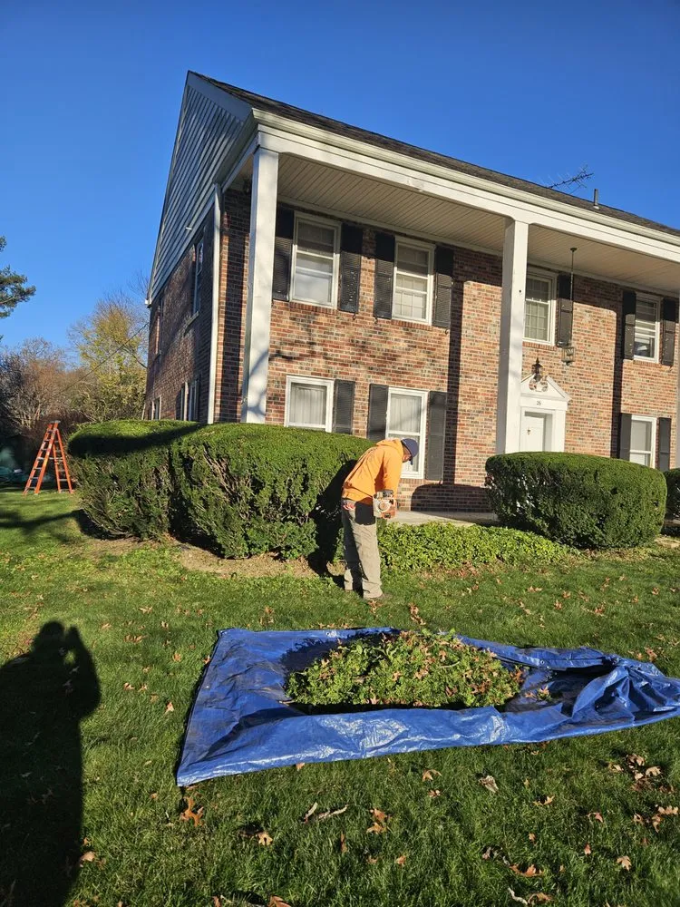 Local lawn care service in Trenton, NJ by Usa & CentroAmerica General cons