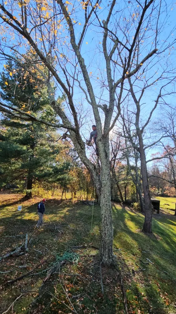 Custom lawn mowing service in Trenton, NJ by Usa & CentroAmerica General cons