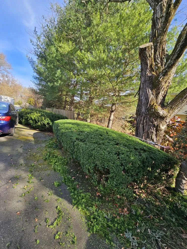 Custom residential landscaping in Trenton, NJ by Usa & CentroAmerica General cons