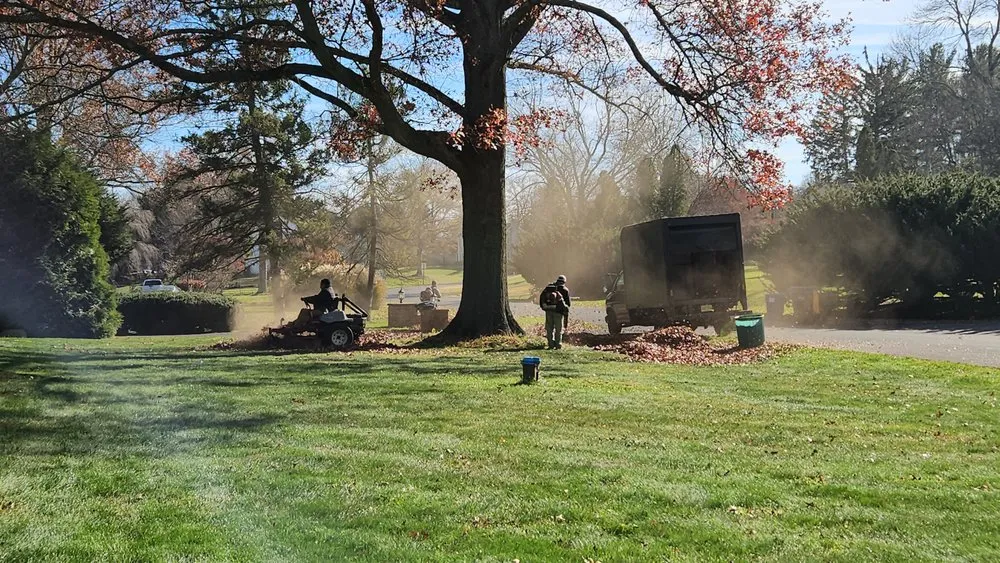 Expert yard maintenance experts serving Trenton, NJ - Usa & CentroAmerica General cons