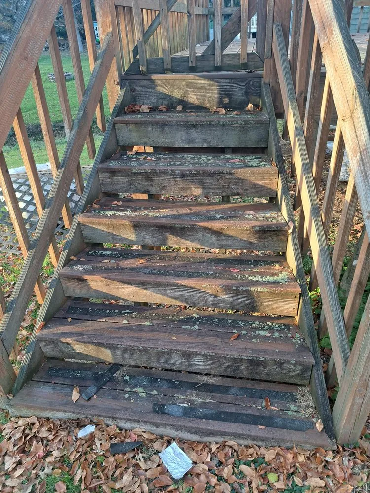 Expert yard maintenance experts serving Trenton, NJ - Usa & CentroAmerica General cons