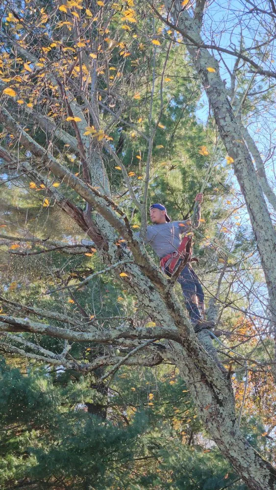 Trusted yard maintenance in Trenton, NJ - Usa & CentroAmerica General cons