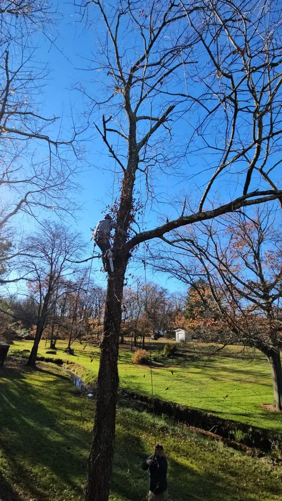 Top-rated outdoor landscaping experts serving Trenton, NJ - Usa & CentroAmerica General cons