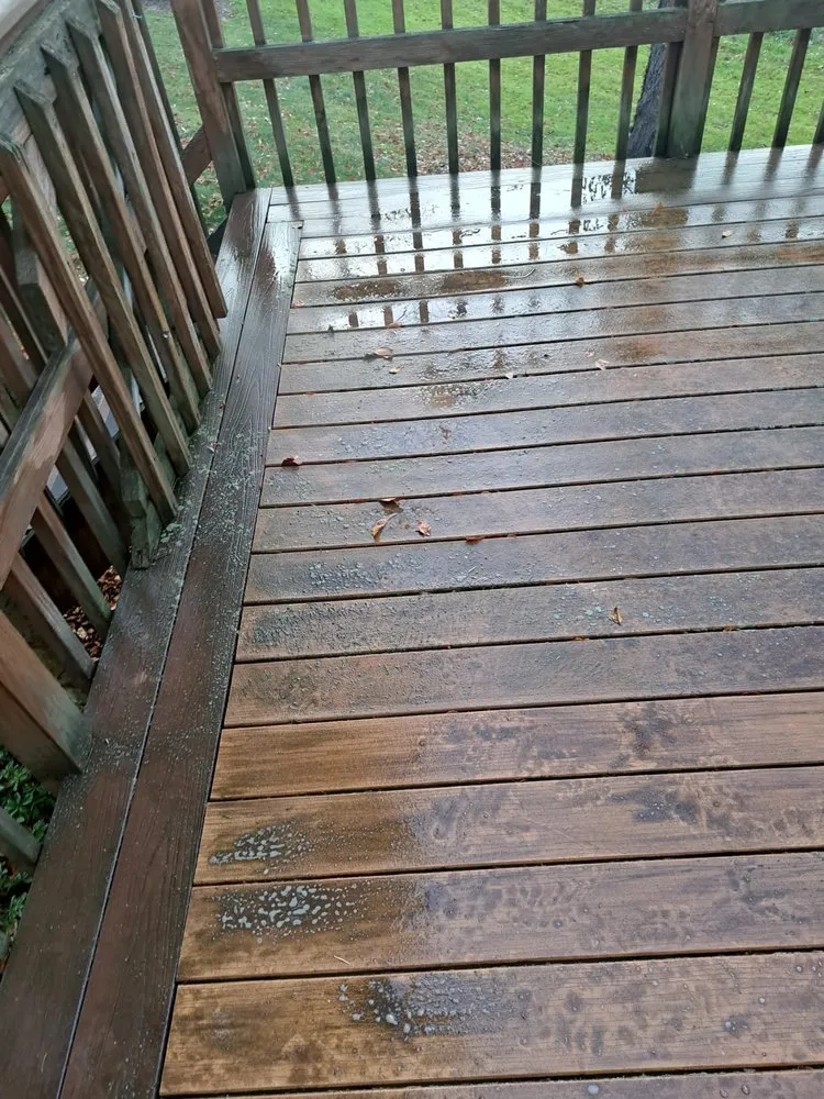 Reliable landscaping services in Trenton, NJ - Usa & CentroAmerica General cons