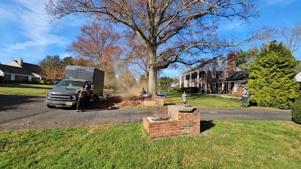 Affordable lawn care service for year-round maintenance in Trenton, NJ by Usa & CentroAmerica General cons