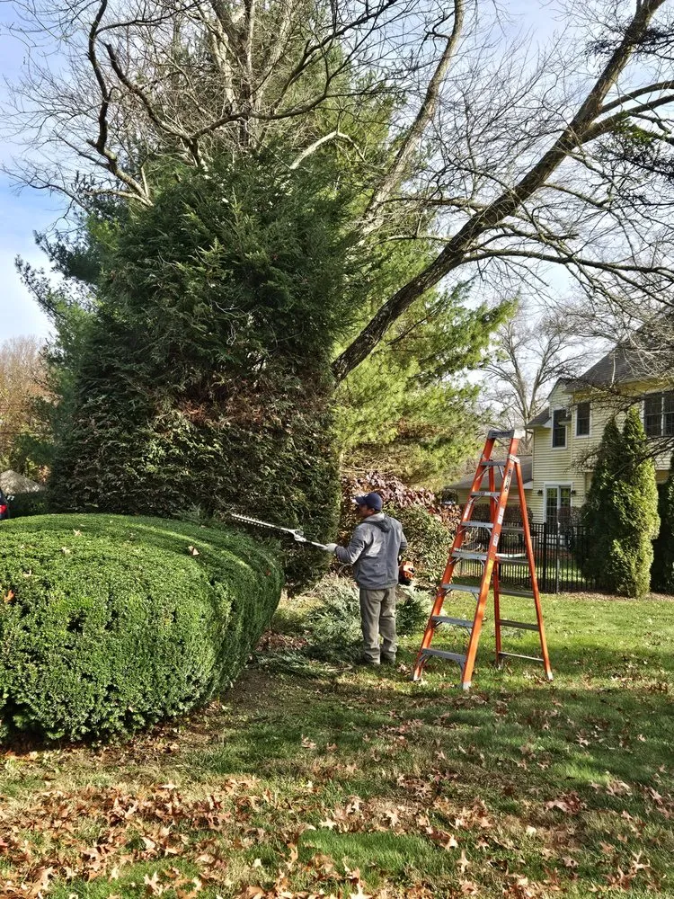 Custom lawn care service for year-round maintenance in Trenton, NJ by Usa & CentroAmerica General cons