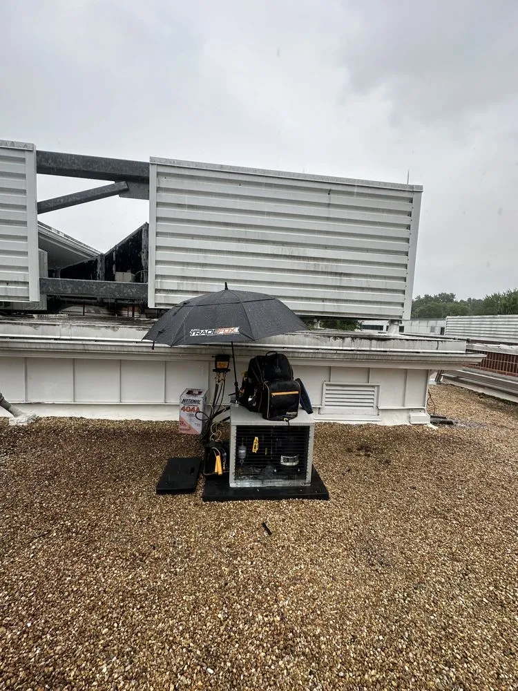 Local landscape design experts serving Gainesville, VA - USA General Contractors