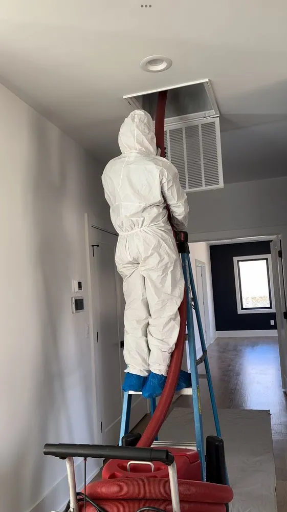 Local yard maintenance for year-round maintenance in Gainesville, VA by USA General Contractors