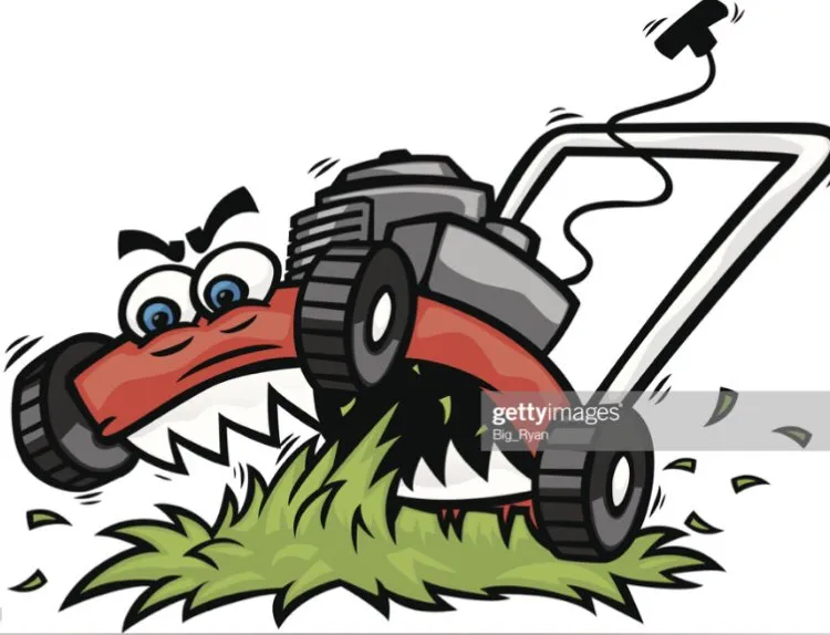 Affordable garden landscaping experts serving Powder Springs, GA - USA Grass Cutters