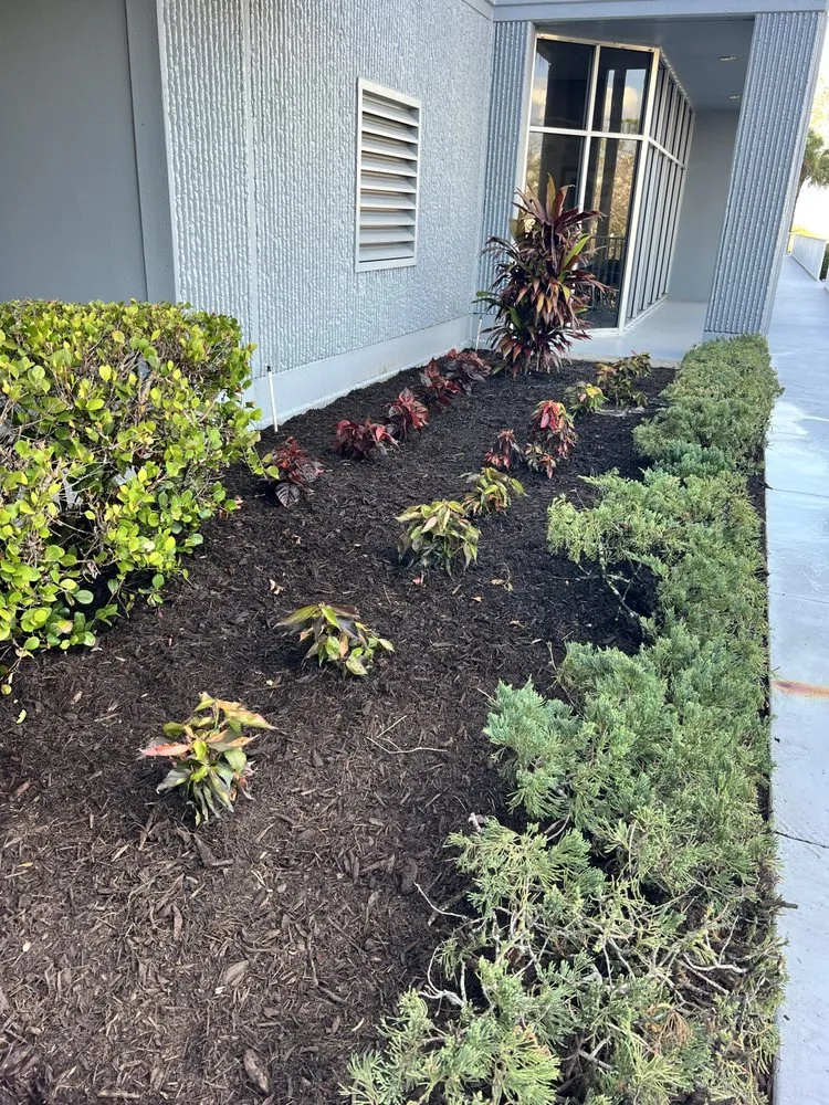 Local outdoor landscaping experts serving Fort Myers, FL - USA GT Landscaping