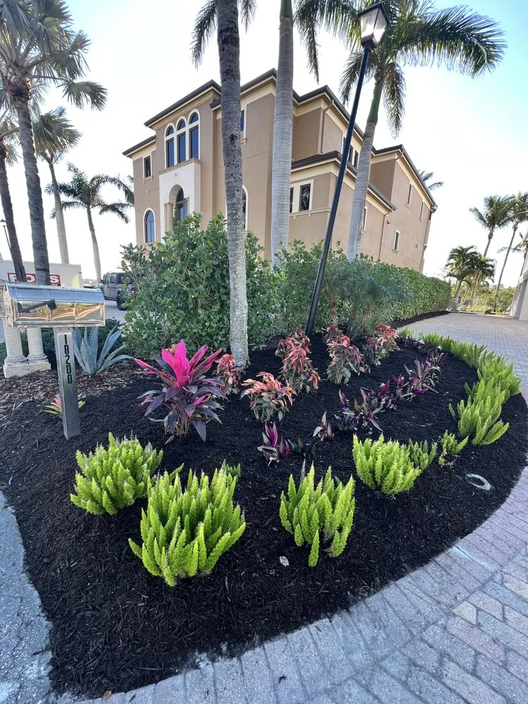 Affordable yard maintenance in Fort Myers, FL by USA GT Landscaping