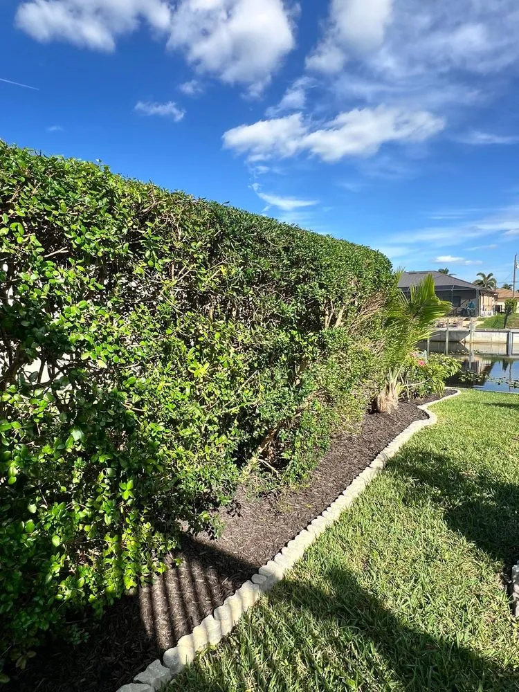 Expert landscape installation in Fort Myers, FL - USA GT Landscaping