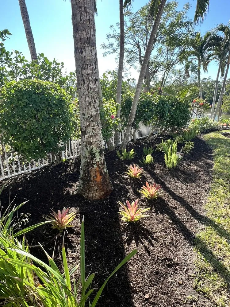 Affordable yard cleanup service experts serving Fort Myers, FL - USA GT Landscaping