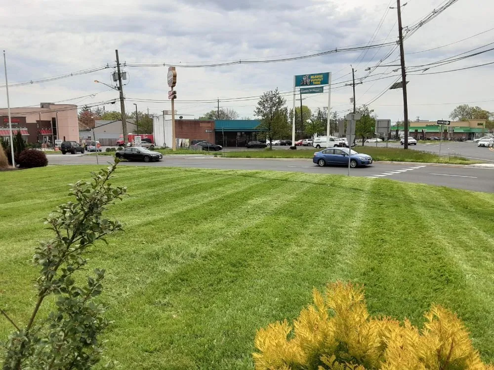 Reliable lawn care service for year-round maintenance across Trenton, NJ - USA Landscaping and Construction