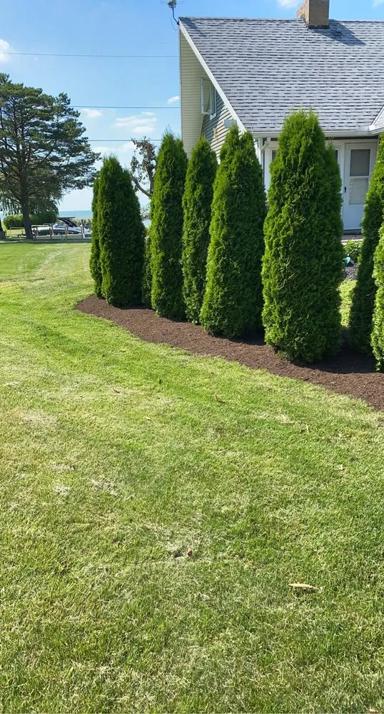Affordable yard maintenance in Medina, OH - USA Landscaping Bros