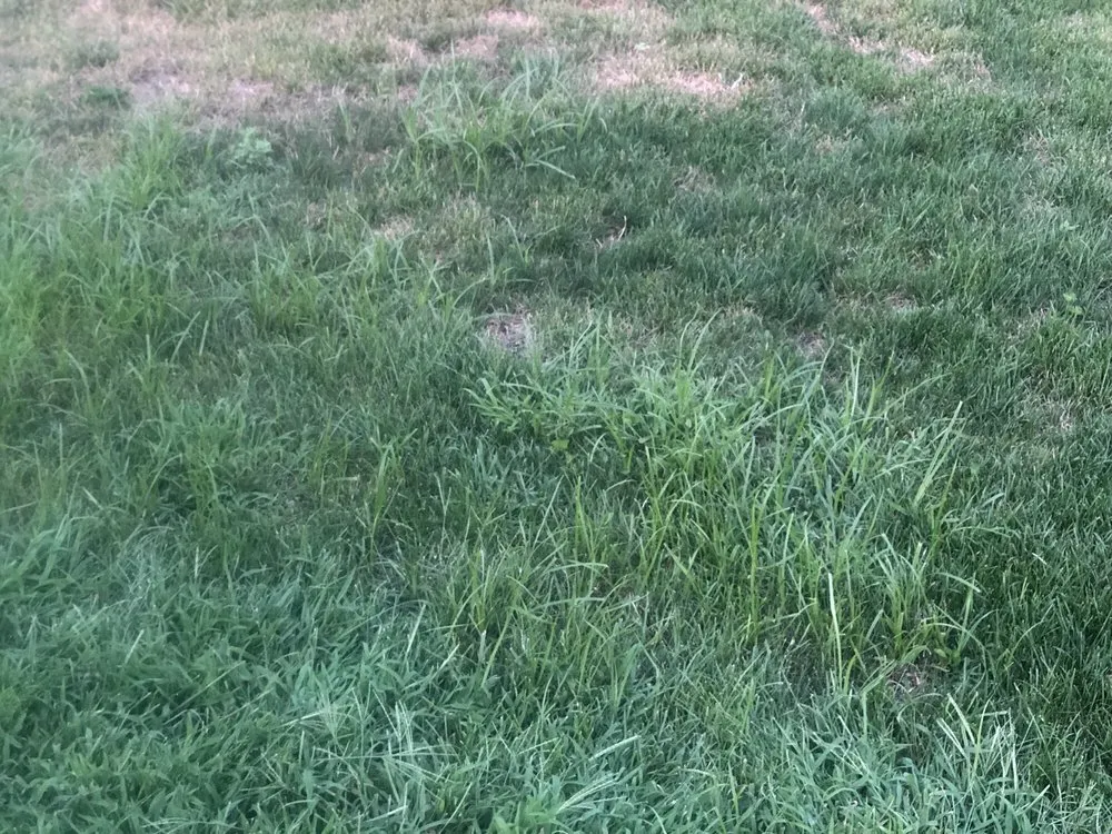 Trusted garden landscaping experts serving central islip, NY - USA Landscaping