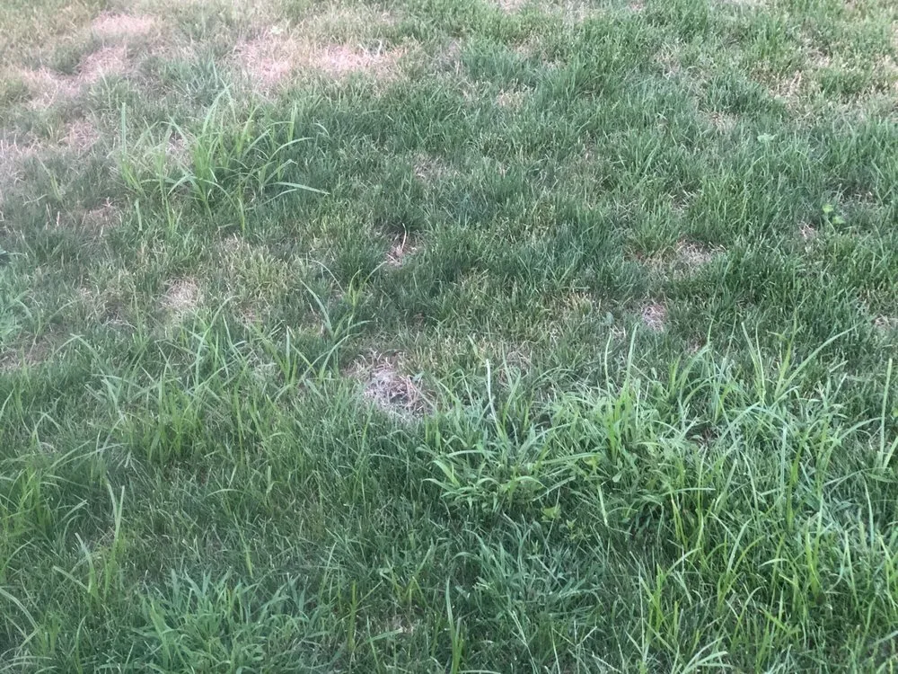 Trusted residential landscaping experts serving central islip, NY - USA Landscaping