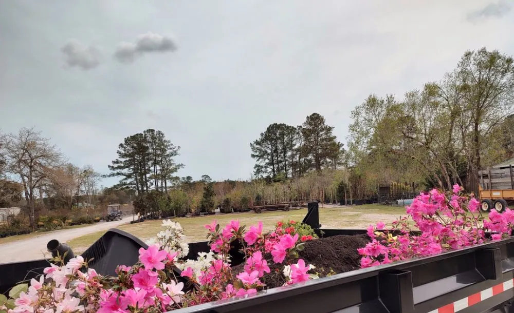 Professional outdoor landscaping in Myrtle Beach, SC - USA Landscaping